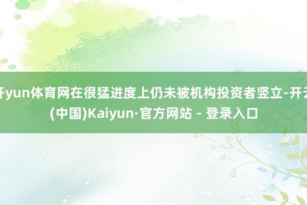 开yun体育网在很猛进度上仍未被机构投资者竖立-开云(中国)Kaiyun·官方网站 - 登录入口