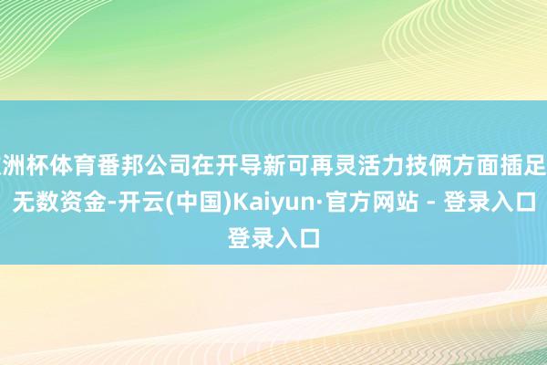 欧洲杯体育番邦公司在开导新可再灵活力技俩方面插足了无数资金-开云(中国)Kaiyun·官方网站 - 登录入口