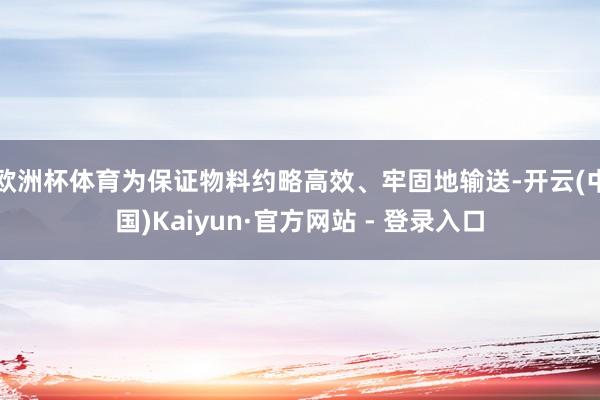 欧洲杯体育为保证物料约略高效、牢固地输送-开云(中国)Kaiyun·官方网站 - 登录入口