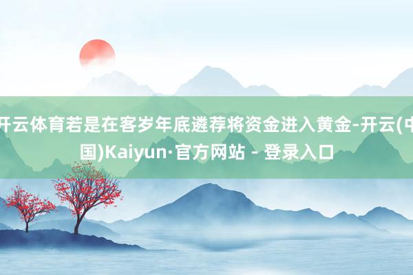 开云体育若是在客岁年底遴荐将资金进入黄金-开云(中国)Kaiyun·官方网站 - 登录入口