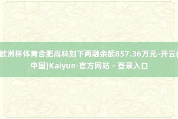 欧洲杯体育合肥高科刻下两融余额857.36万元-开云(中国)Kaiyun·官方网站 - 登录入口
