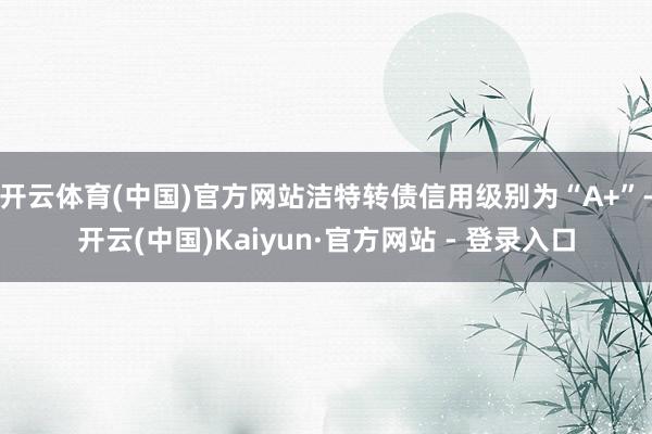 开云体育(中国)官方网站洁特转债信用级别为“A+”-开云(中国)Kaiyun·官方网站 - 登录入口
