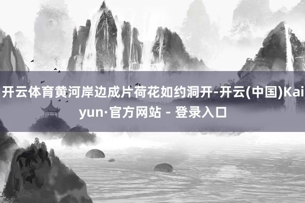 开云体育黄河岸边成片荷花如约洞开-开云(中国)Kaiyun·官方网站 - 登录入口