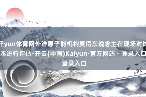 开yun体育网外洋原子能机构莫得东说念主在现场对蚀本进行评估-开云(中国)Kaiyun·官方网站 - 登录入口