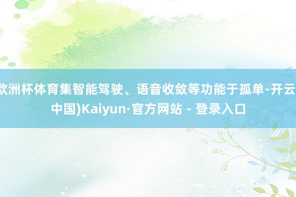 欧洲杯体育集智能驾驶、语音收敛等功能于孤单-开云(中国)Kaiyun·官方网站 - 登录入口