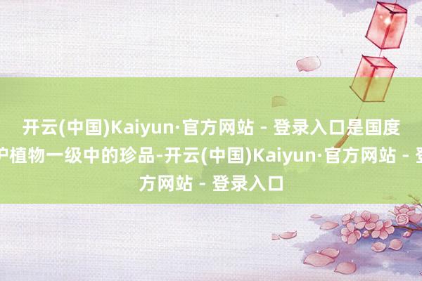 开云(中国)Kaiyun·官方网站 - 登录入口是国度重心保护植物一级中的珍品-开云(中国)Kaiyun·官方网站 - 登录入口