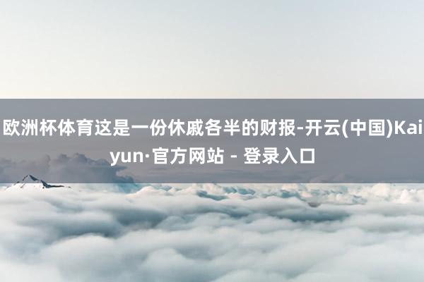 欧洲杯体育这是一份休戚各半的财报-开云(中国)Kaiyun·官方网站 - 登录入口