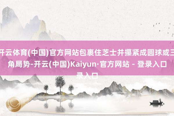 开云体育(中国)官方网站包裹住芝士并攥紧成圆球或三角局势-开云(中国)Kaiyun·官方网站 - 登录入口