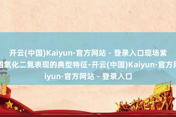 开云(中国)Kaiyun·官方网站 - 登录入口现场紫红色烟雾恰是四氧化二氮表现的典型特征-开云(中国)Kaiyun·官方网站 - 登录入口