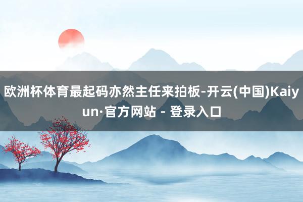 欧洲杯体育最起码亦然主任来拍板-开云(中国)Kaiyun·官方网站 - 登录入口