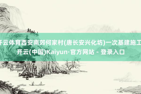 开云体育西安南郊何家村(唐长安兴化坊)一次基建施工-开云(中国)Kaiyun·官方网站 - 登录入口