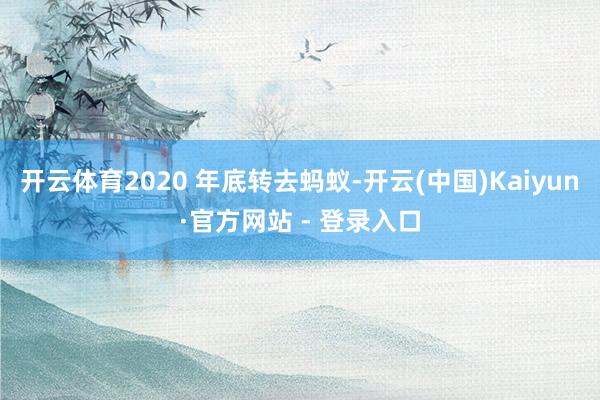 开云体育2020 年底转去蚂蚁-开云(中国)Kaiyun·官方网站 - 登录入口